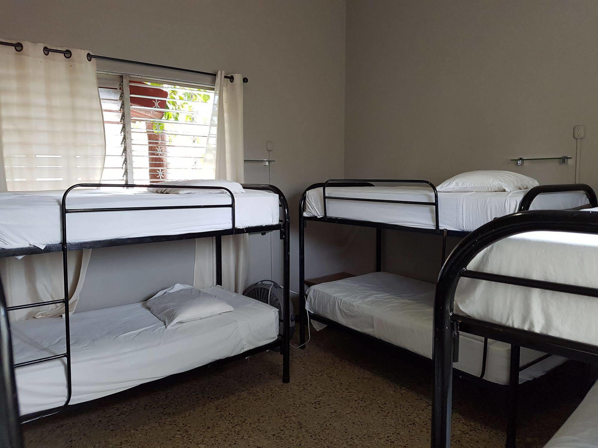 Managua Backpackers Inn المظهر الخارجي الصورة